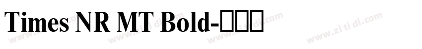 Times NR MT Bold字体转换